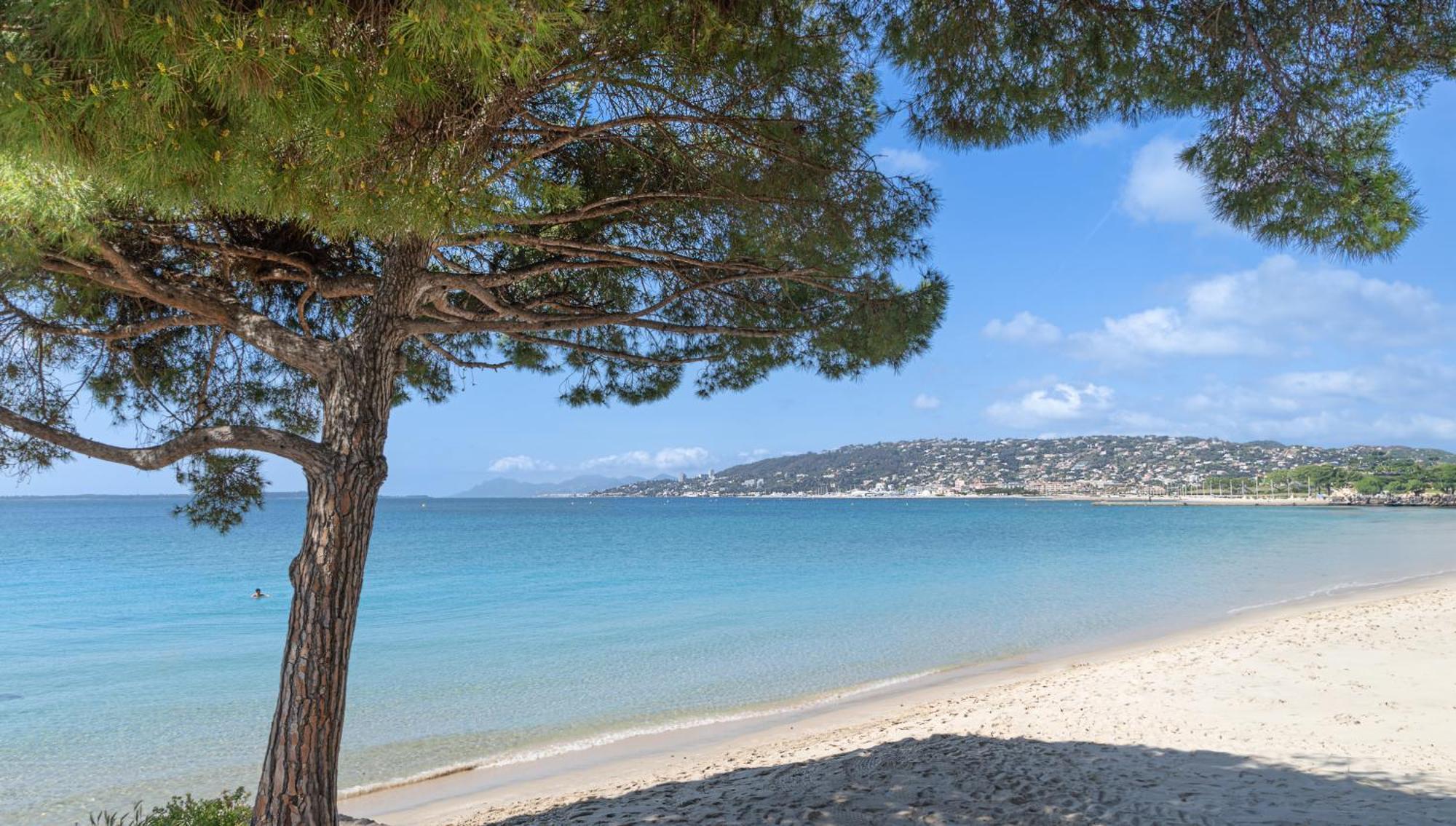 Les 15 Pins & La Mer -Your Green Getaway Near Sea & Beach アンティーブ エクステリア 写真